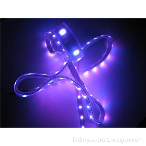 IP67 Sillicone Protection Led String Lights DC12V 60LEDs SMD5050